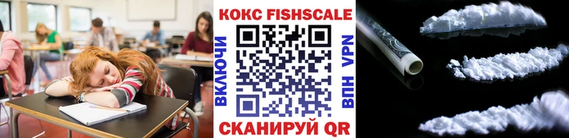 где купить   Онега  КОКАИН FishScale 
