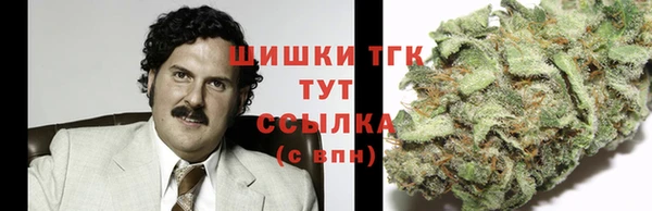 стаф Новокубанск